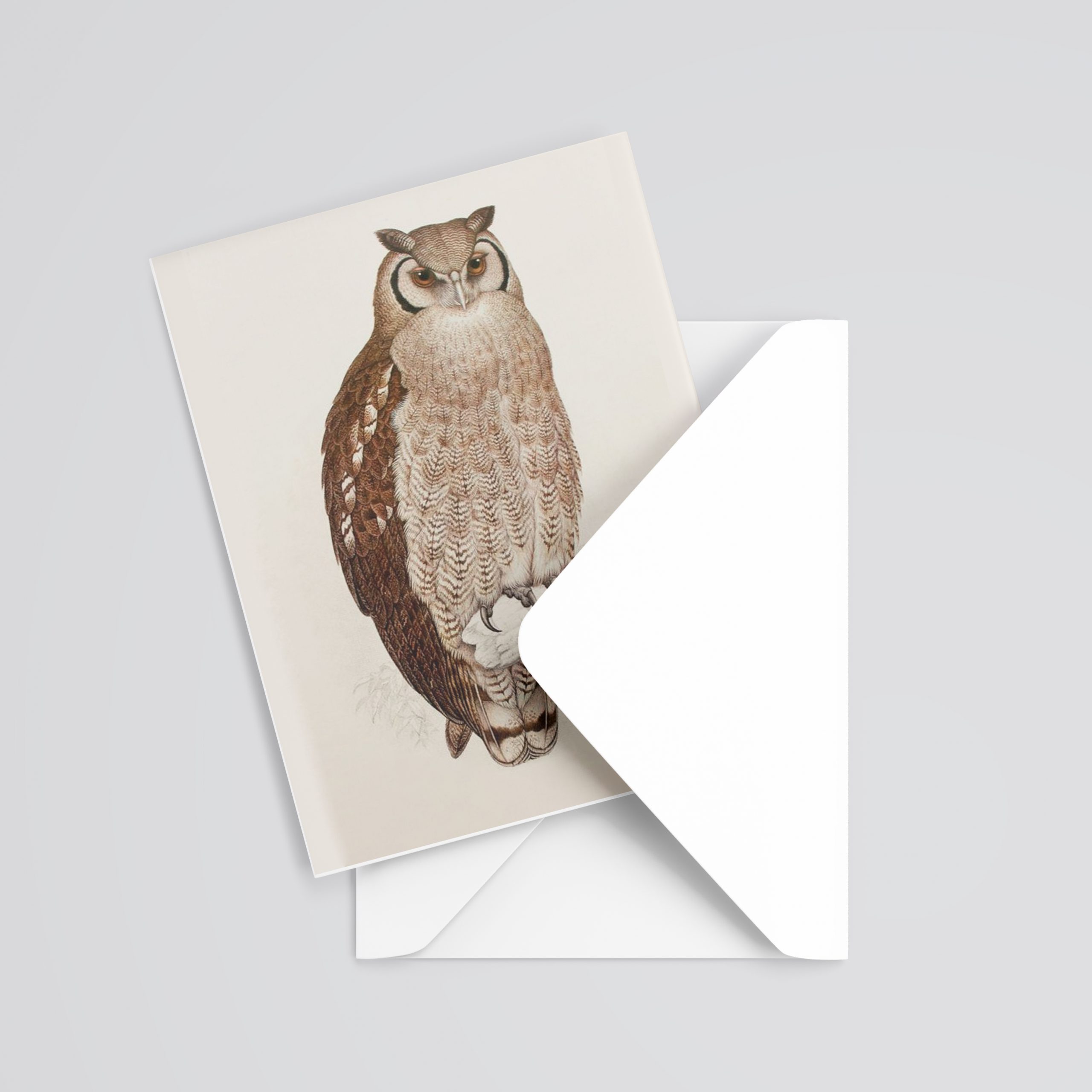 6 Raptor rescue plett A5 Gift Card Nocturnal Verreaux egale owl