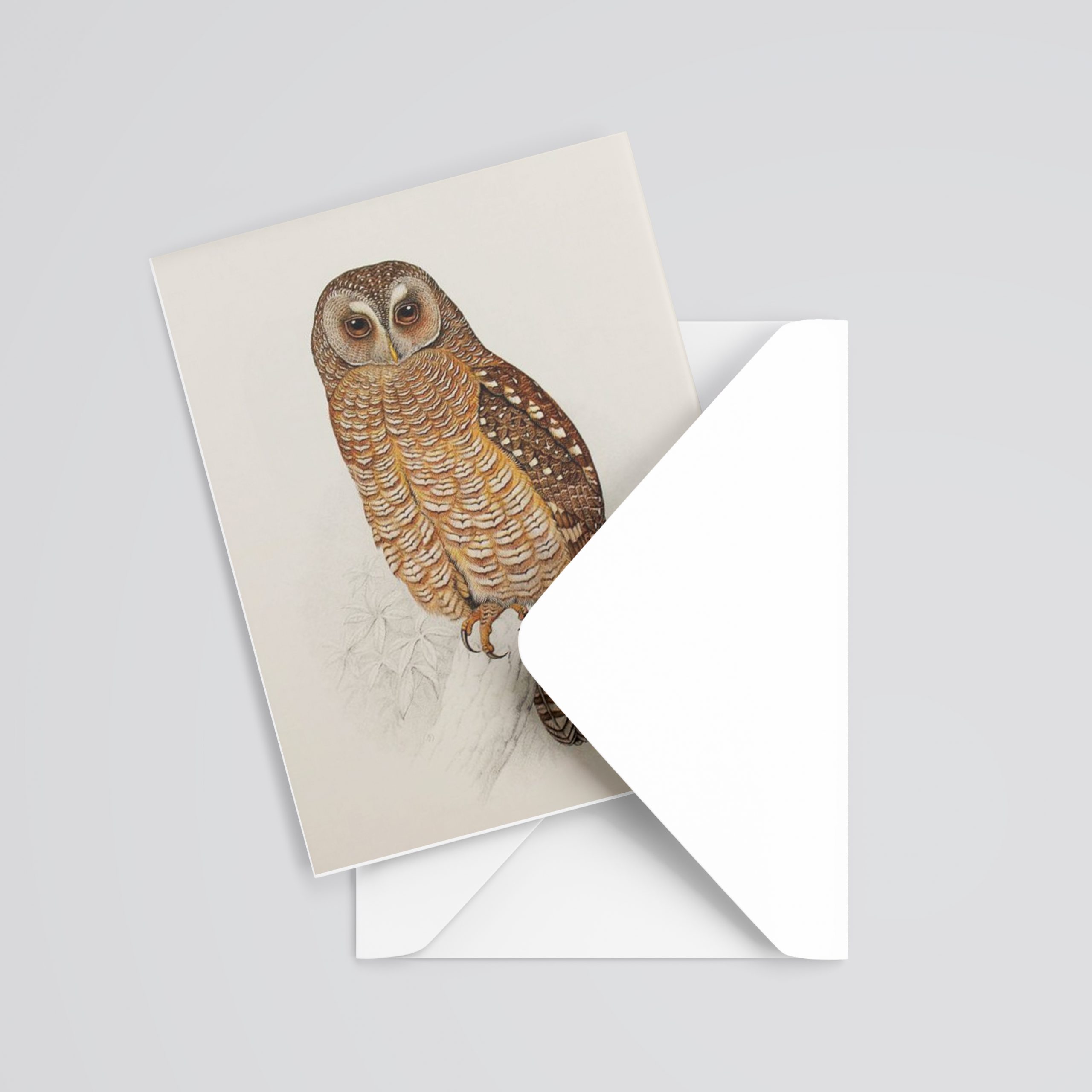 Raptor rescue plett A5 Gift Card Nocturnal Wood owl