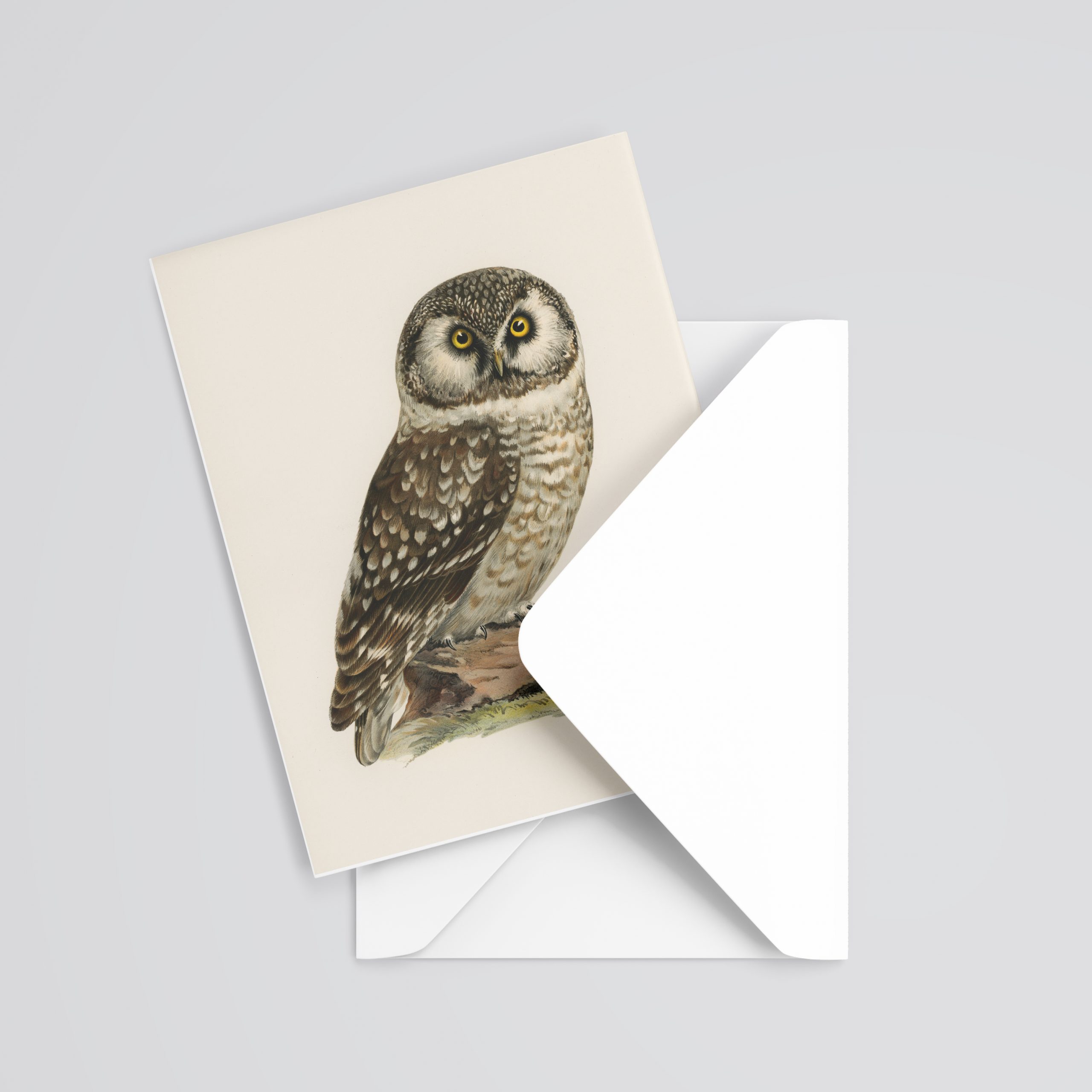 Raptor rescue plett A5 Gift Card Pearl spotted owl