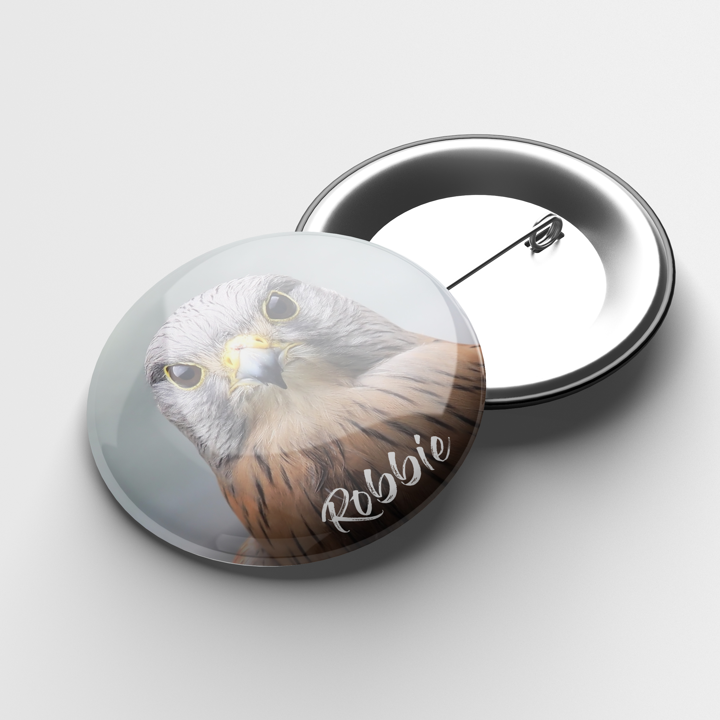 Raptor rescue plett Robbie rock kestrel Button Badge