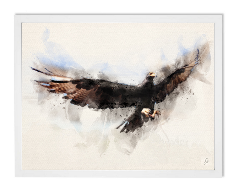 Raptor rescue plett framed print black eagle jo howell