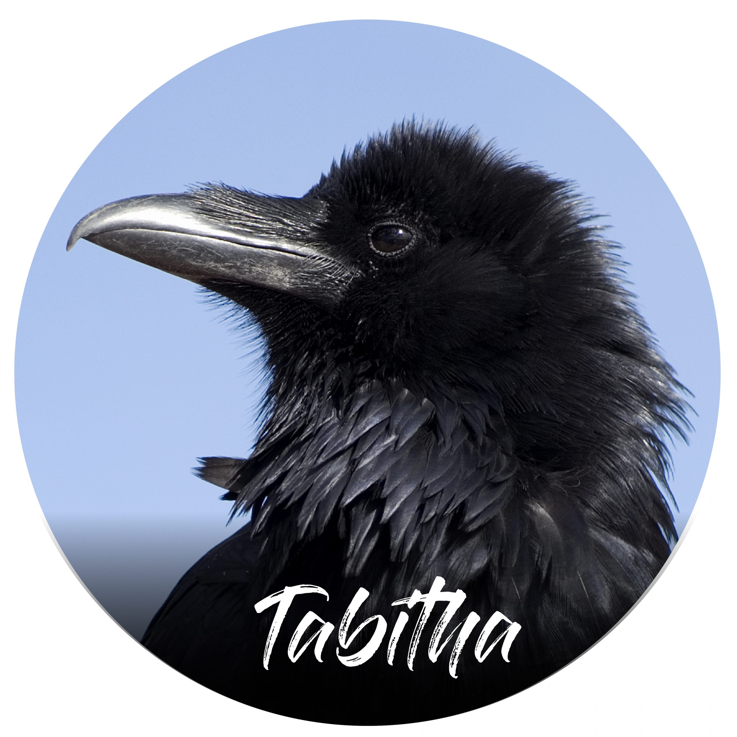 Sponsor button Tabitha Cape Crow