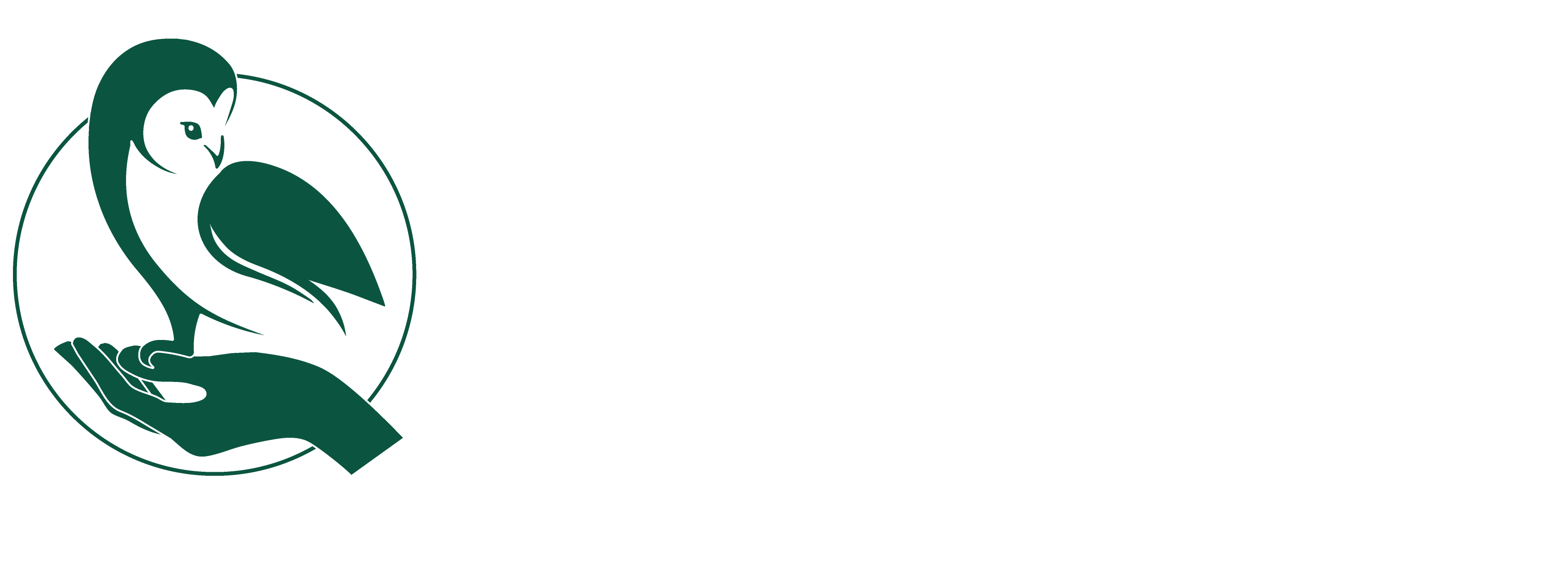 Raptor Rescue Plettenberg Bay