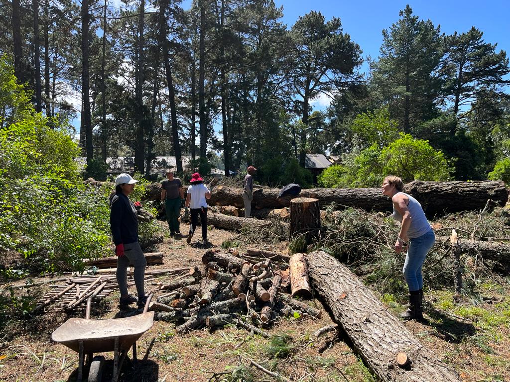 Elementary,School,Kids,Having,Fun,Outdoors