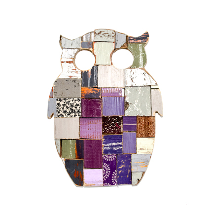 Raptor rescue plett wildlife photpgrapht Mujaji fish eagle