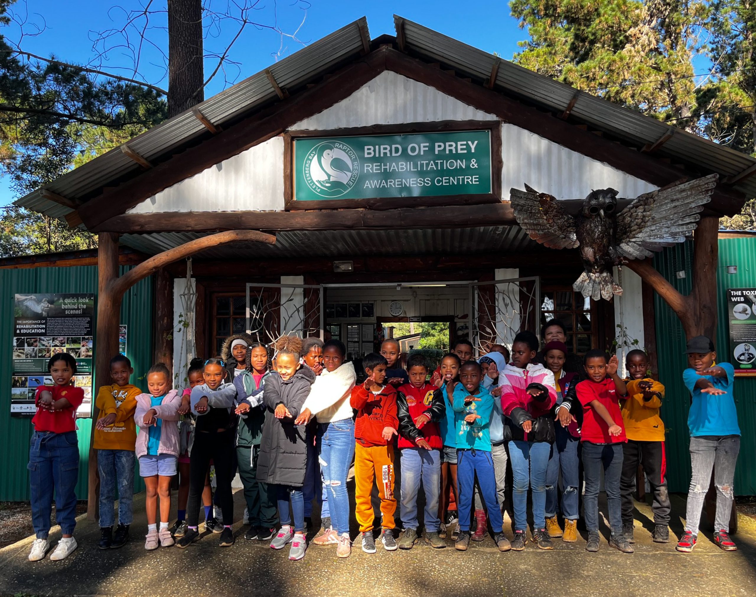Raptor rescue plett Long crested eagle release