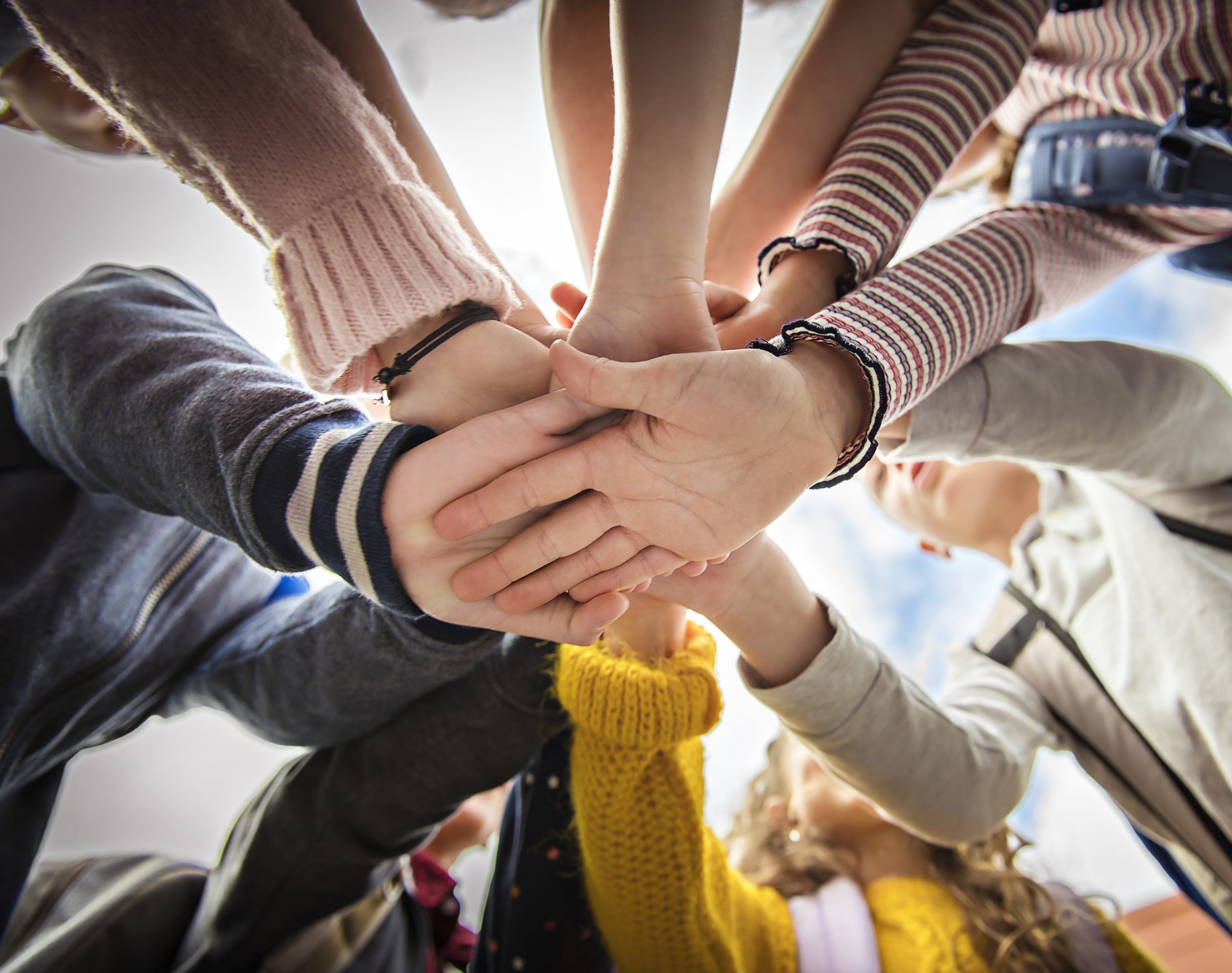 Raptor rescue plett Long crested eagle release