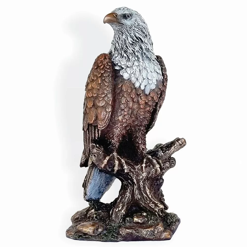 Raptor rescue plett wildlife photpgrapht Mujaji fish eagle