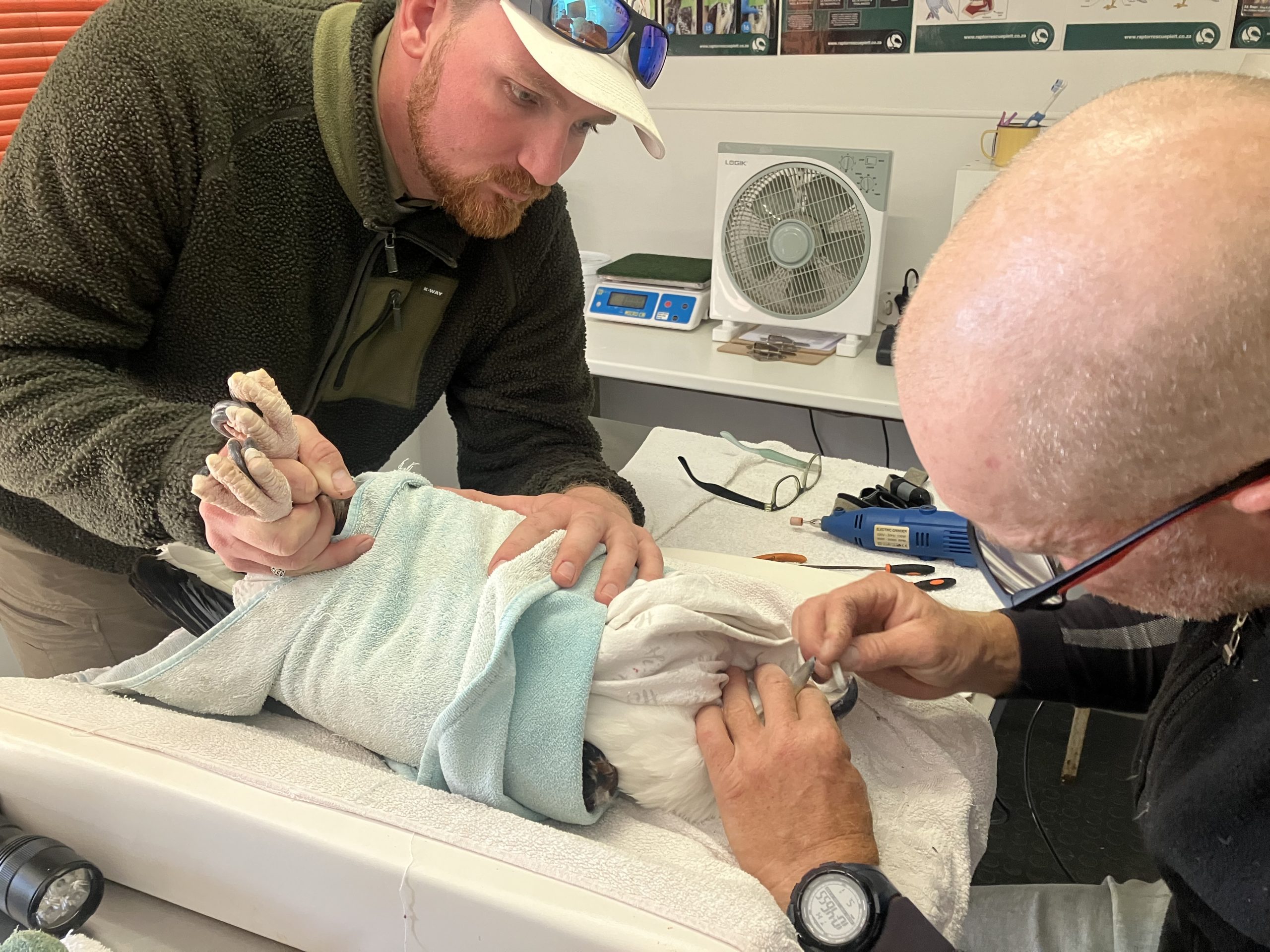 Elementary,School,Kids,Having,Fun,Outdoors