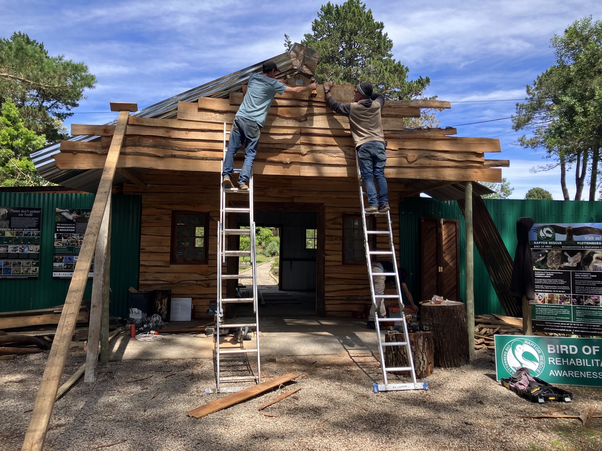 Raptor rescue plett Long crested eagle release