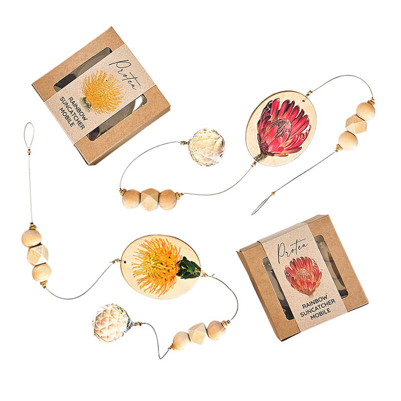 Raptor rescue plett wildlife photpgrapht Mujaji fish eagle