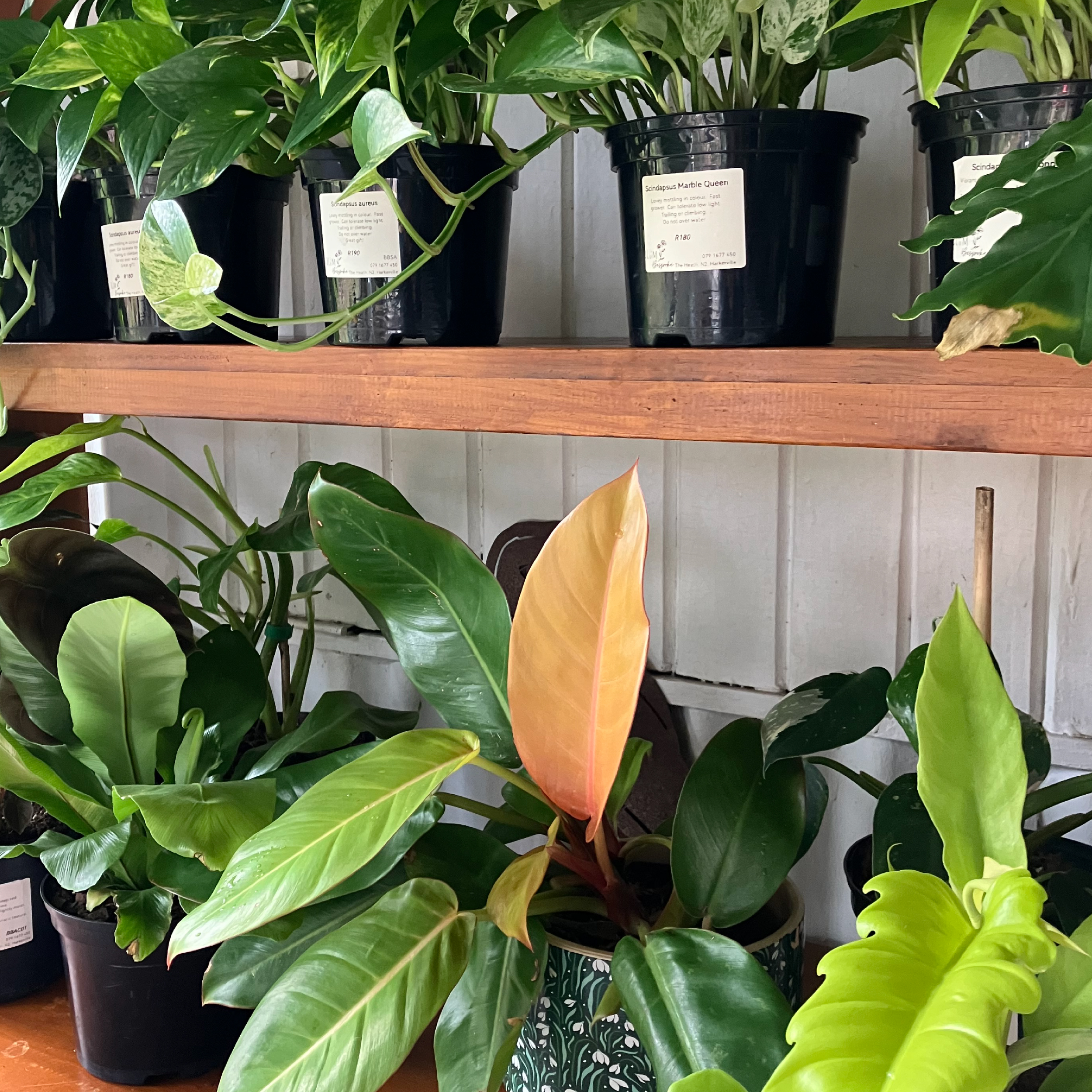 Elementary,School,Kids,Having,Fun,Outdoors