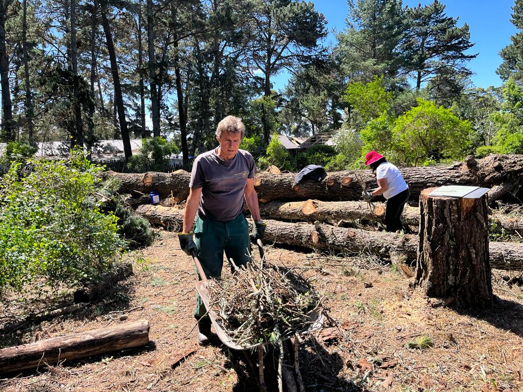 Elementary,School,Kids,Having,Fun,Outdoors
