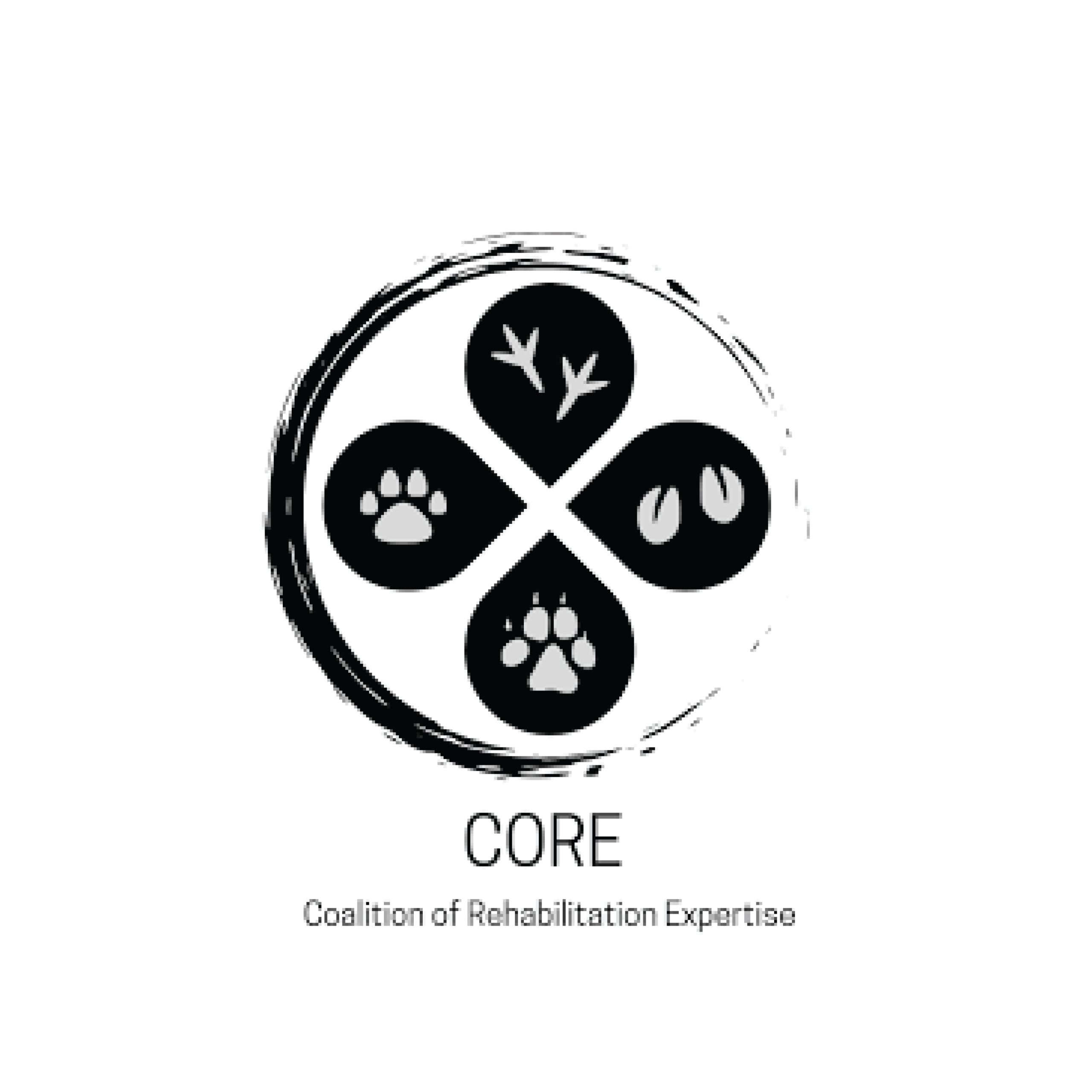 logos for affiliate partners-02