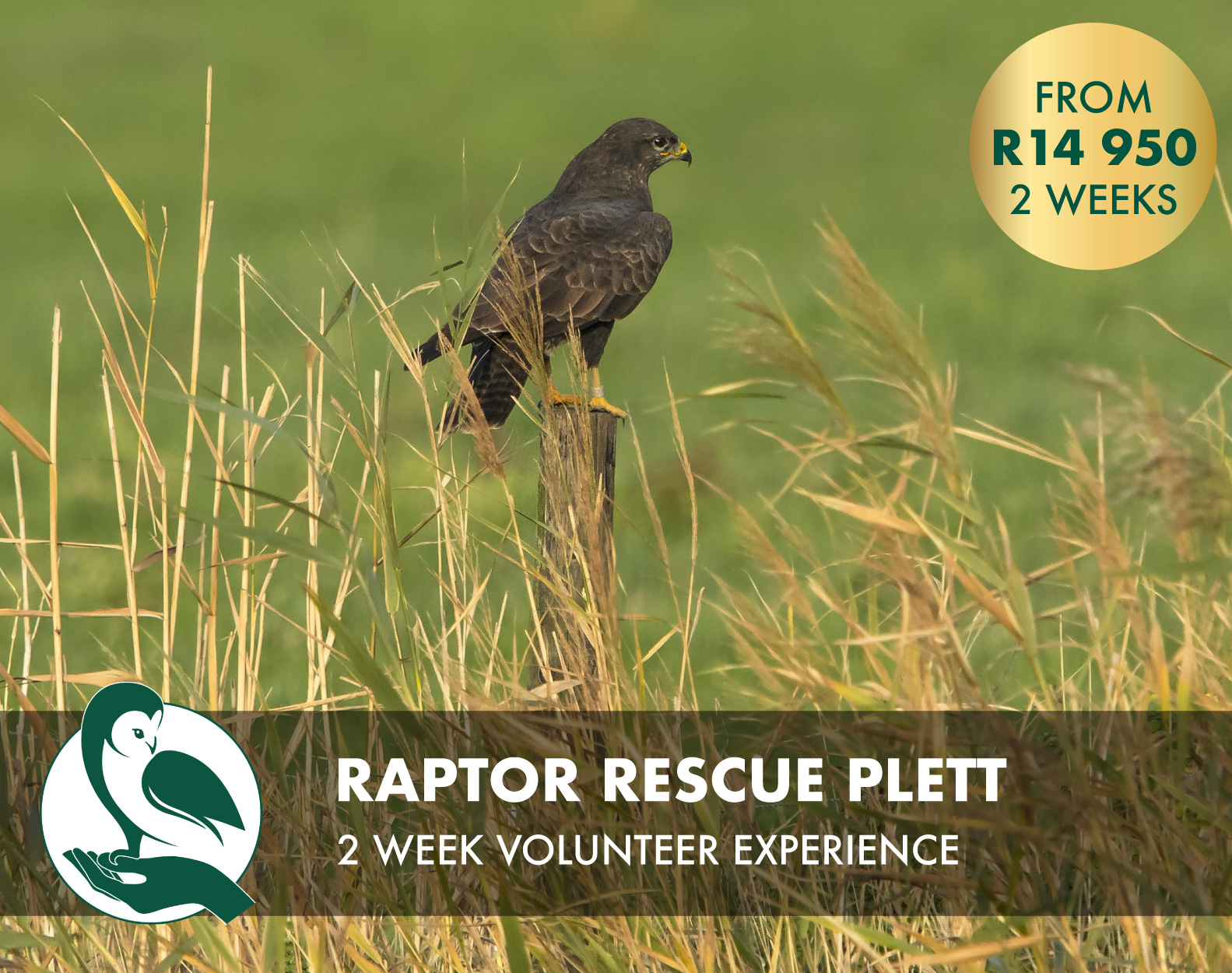 Elementary,School,Kids,Having,Fun,Outdoors