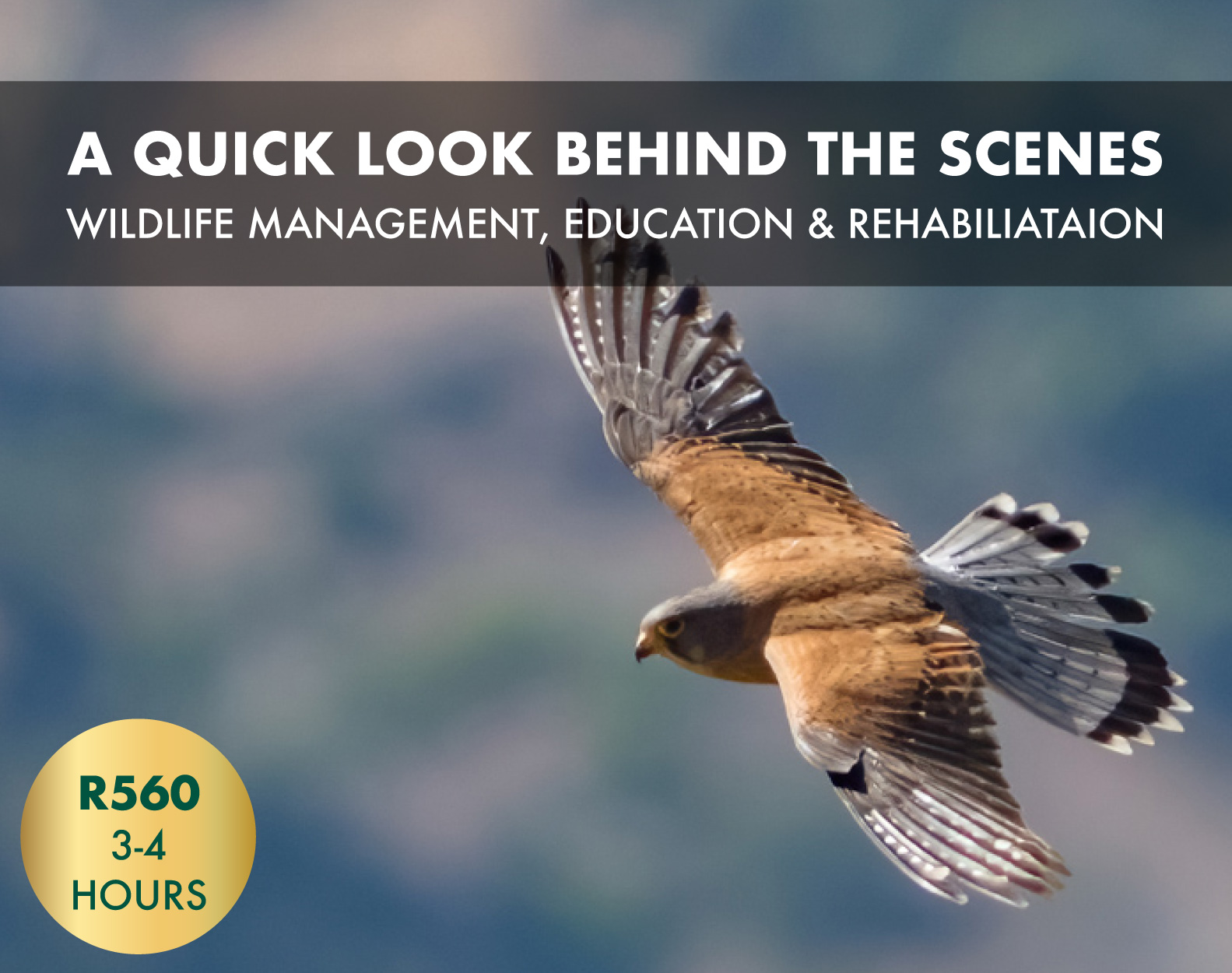 Raptor Rescue Plett Volunteer project Planting