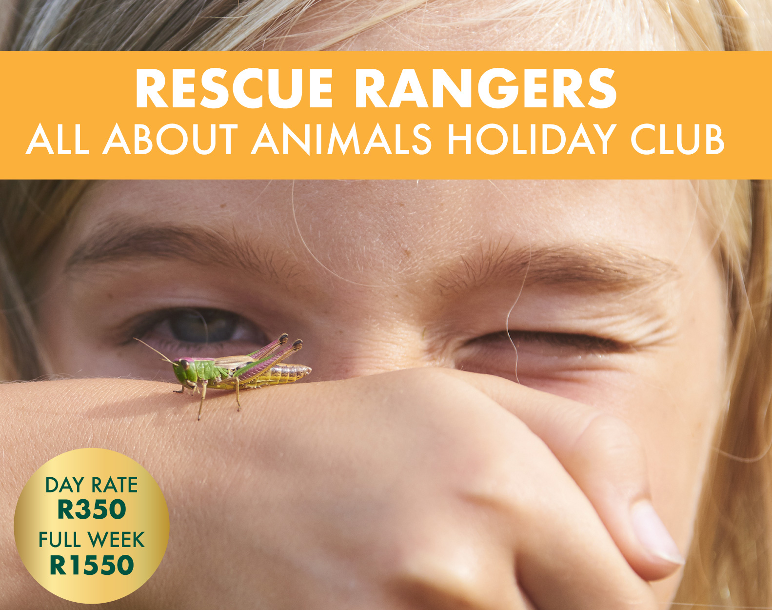 Raptor Rescue Plett Grace Harrison African Grass Owl wildlife rehabilitation