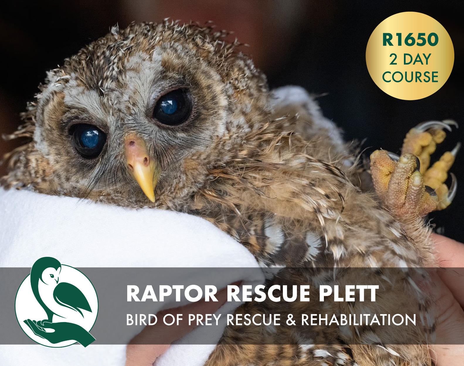 Elementary,School,Kids,Having,Fun,Outdoors