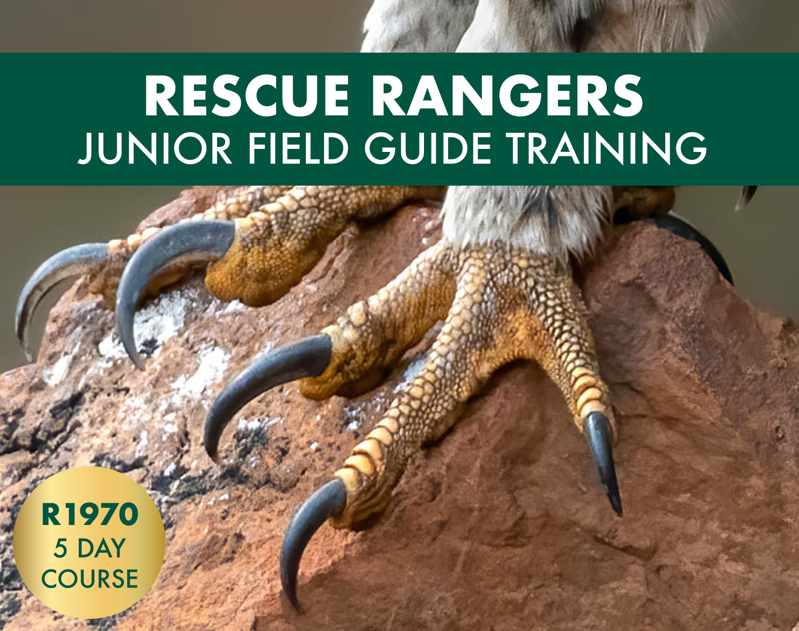 Elementary,School,Kids,Having,Fun,Outdoors