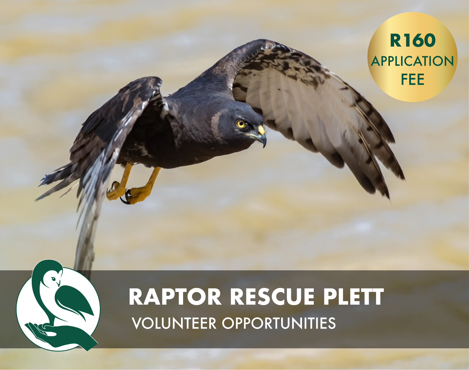 Elementary,School,Kids,Having,Fun,Outdoors