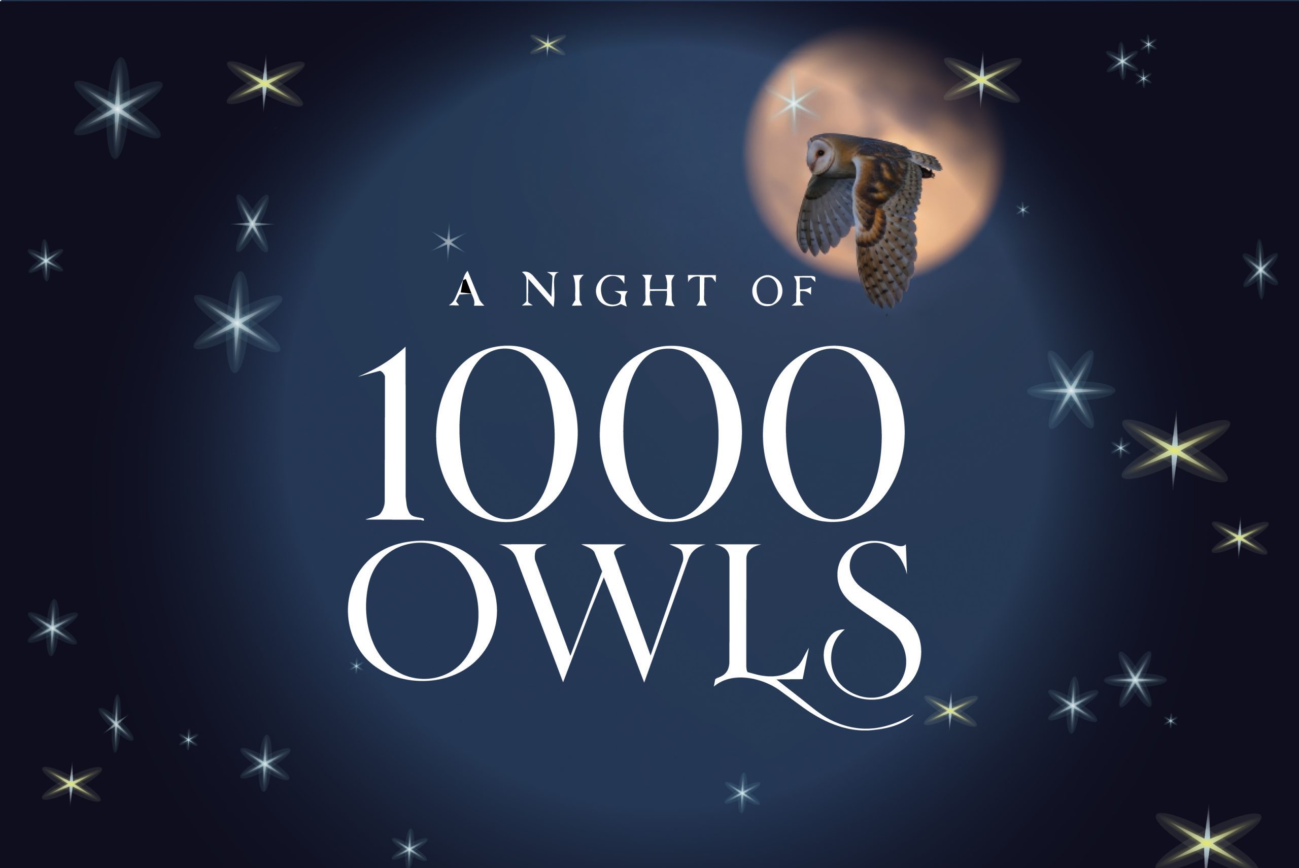 Night of 1000 owls logo